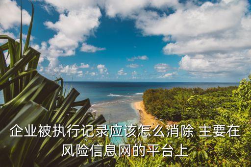 企业被执行记录应该怎么消除 主要在风险信息网的平台上