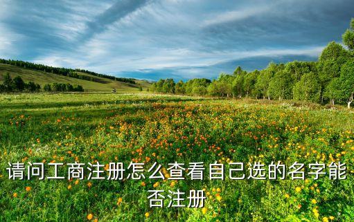 请问工商注册怎么查看自己选的名字能否注册
