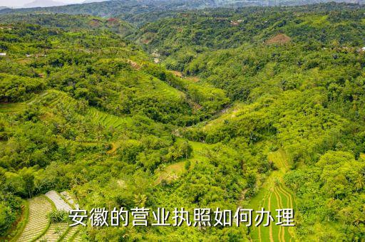 安徽的营业执照如何办理