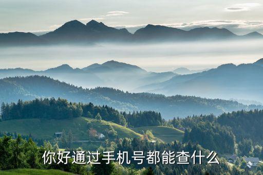 你好通过手机号都能查什么