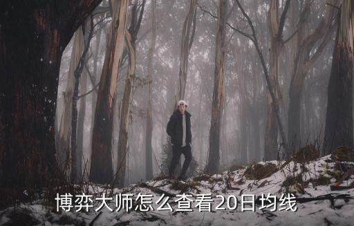 博弈大师怎么查看20日均线