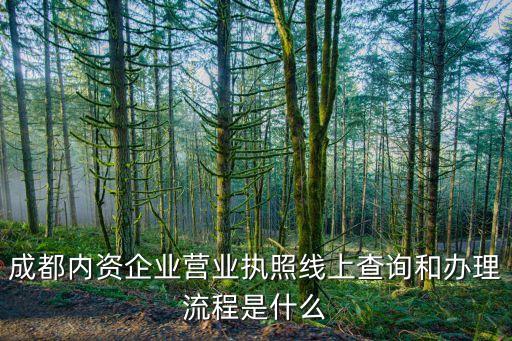 成都内资企业营业执照线上查询和办理流程是什么