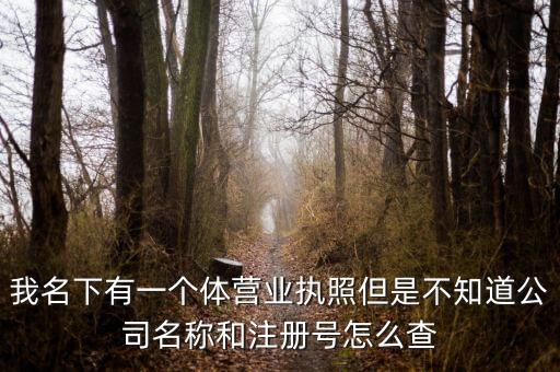 我名下有一个体营业执照但是不知道公司名称和注册号怎么查