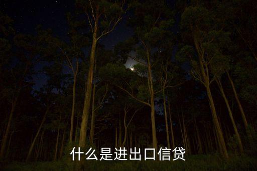 什么是进出口信贷