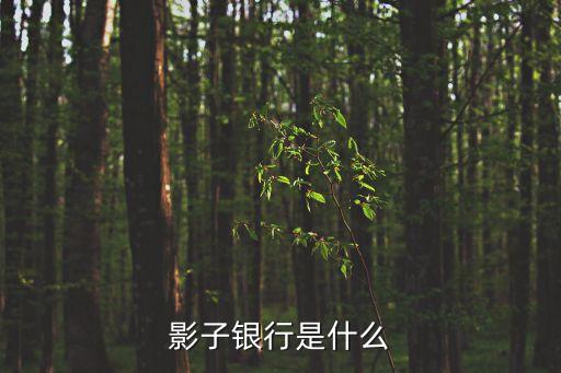 影子银行是什么