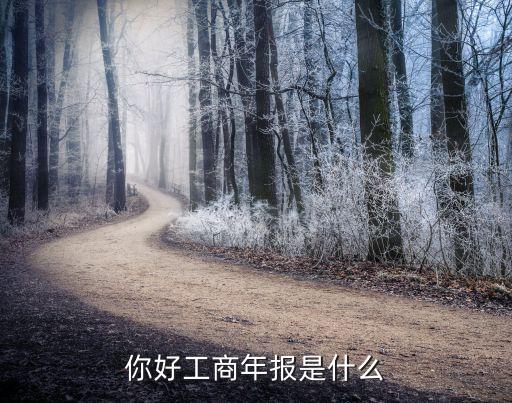 你好工商年报是什么