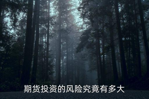 期货投资的风险究竟有多大