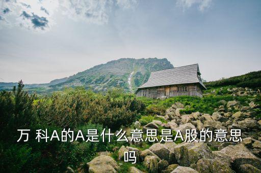 万 科A的A是什么意思是A股的意思吗