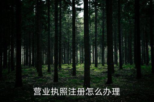 办理企业登记注册，营业执照注册怎么办理