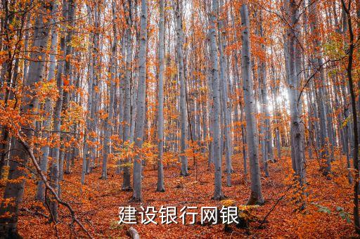 网上建设银行，中国建设银行网上银行