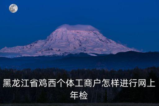 黑龙江省鸡西个体工商户怎样进行网上年检