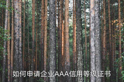 如何申请企业AAA信用等级证书