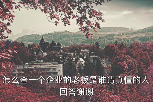 怎么查一个企业的老板是谁请真懂的人回答谢谢