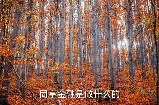 同享金融是做什么的