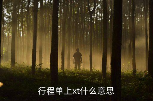 行程单上xt什么意思