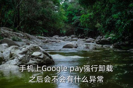 谷歌pay，手机上Google pay强行卸载之后会不会有什么异常