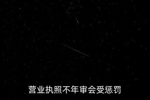 营业执照不年审会受惩罚