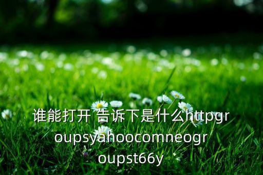 谁能打开 告诉下是什么httpgroupsyahoocomneogroupst66y