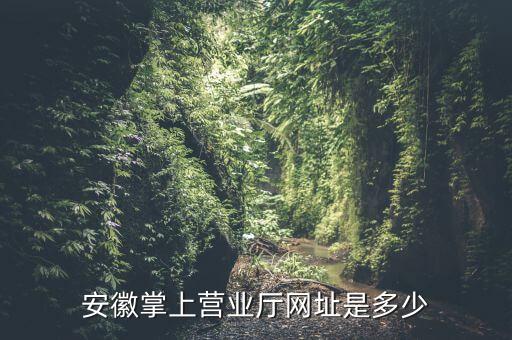 安徽掌上营业厅网址是多少