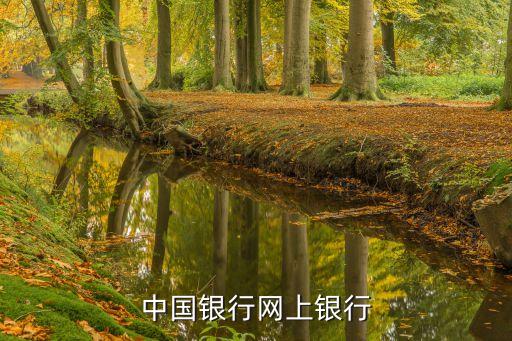 中国银行网上银行