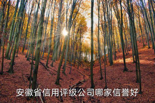 安徽省信用评级公司哪家信誉好
