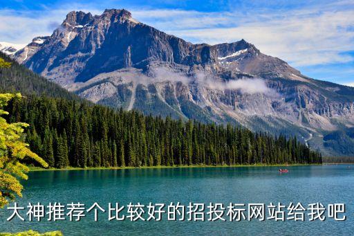 大神推荐个比较好的招投标网站给我吧