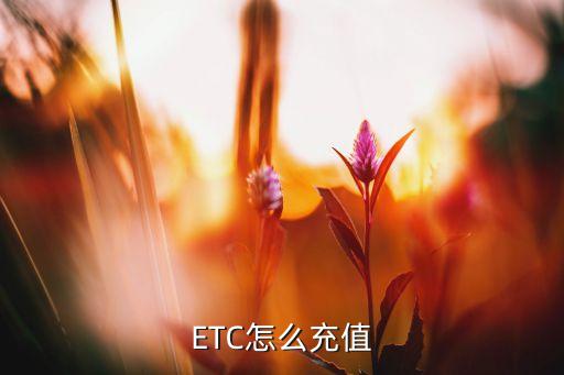ETC怎么充值