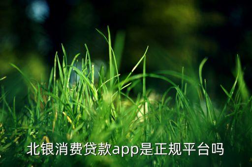 北银消费贷款app是正规平台吗