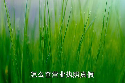 怎么查营业执照真假