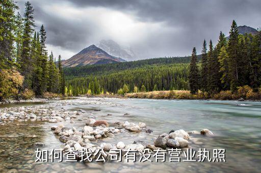 如何查找公司有没有营业执照