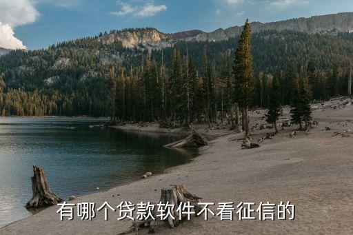 有哪个贷款软件不看征信的