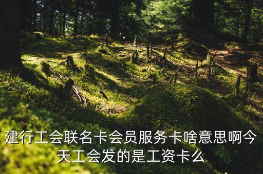 建行工会联名卡会员服务卡啥意思啊今天工会发的是工资卡么