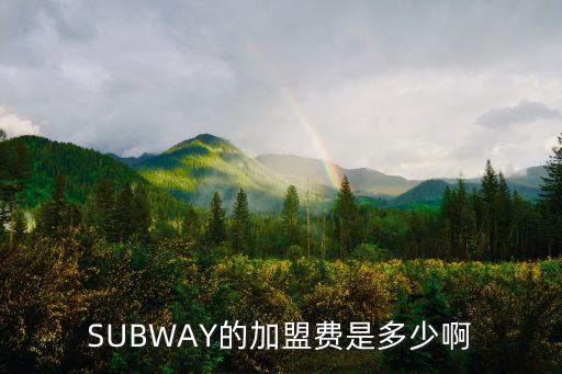 SUBWAY的加盟费是多少啊