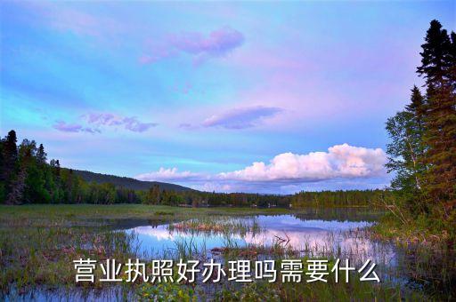 现在营业执照好办吗，办营业照好不好办