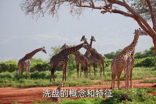 洗盘的概念和特征