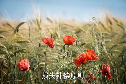 损失补偿原则