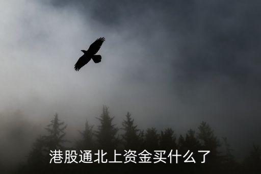 港股通北上资金买什么了