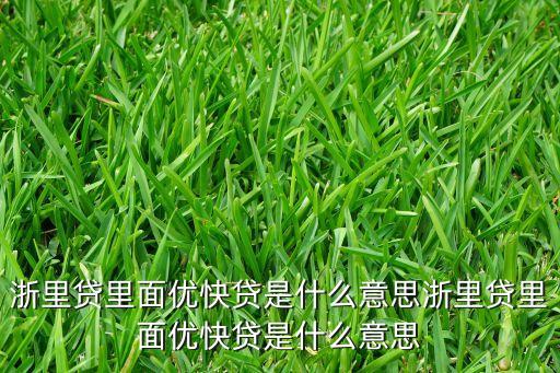 浙里贷里面优快贷是什么意思浙里贷里面优快贷是什么意思