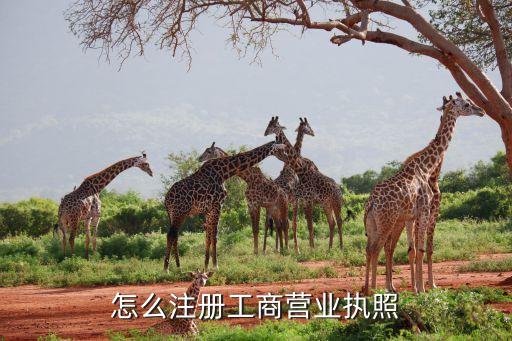 怎么注册工商营业执照