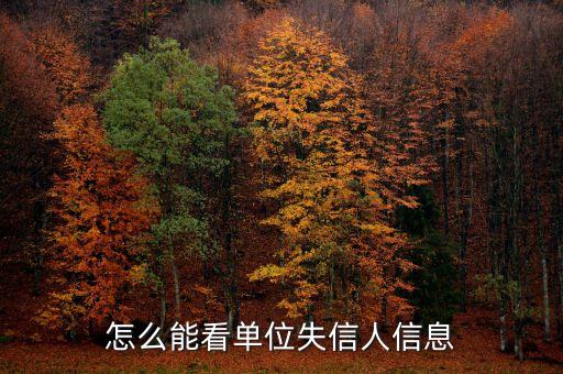 怎么能看单位失信人信息
