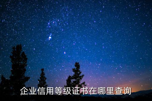 企业信用等级证书在哪里查询