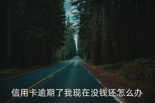 信用卡逾期了我现在没钱还怎么办