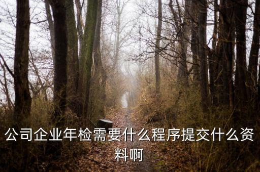 公司企业年检需要什么程序提交什么资料啊