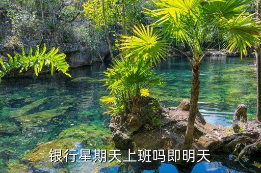 银行星期天上班吗即明天