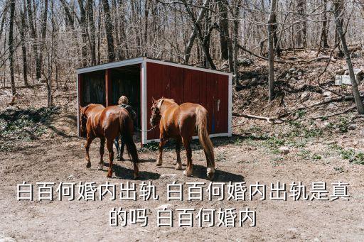 曝白百何婚内出轨，白百何婚内出轨 白百何婚内出轨是真的吗 白百何婚内