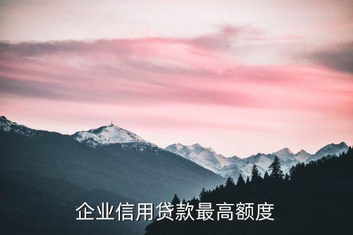 企业信用贷款最高额度