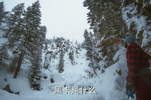 信用卡黑卡，黑卡的主要作用是