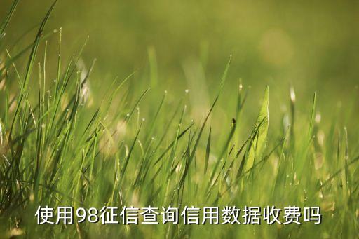 手机查询个人征信报告收费吗，使用98征信查询信用数据收费吗