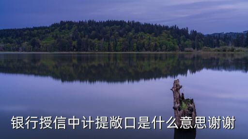 银行授信中计提敞口是什么意思谢谢