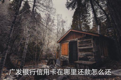 广发信用卡还款，关于广发信用卡还款问题